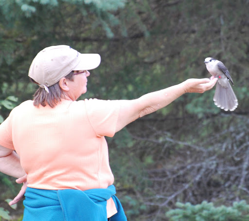 Janette Davidson Photo 3