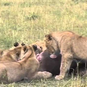 Charles Walters Photo 14 Charles Walters Photo 14