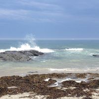 Sandra Cranston Photo 8