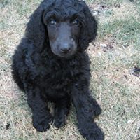 Janet Judge Photo 17