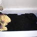 Debra Dye Photo 8