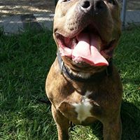 Alex Vasquez Photo 28 Alex Vasquez Photo 28