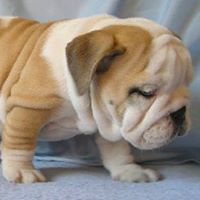 Crystal Silva Photo 19