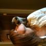 Christine Strong Photo 43