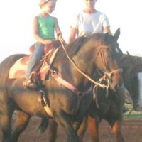 Sue Crain Photo 14