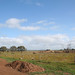 Victoria Gordon Photo 15