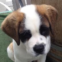 Julie Hannan Photo 20