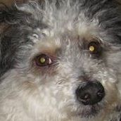 Pauline Bullock Photo 5