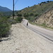 Nancy Arroyo Photo 23