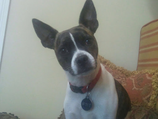 Vanessa Watson Photo 47 Vanessa Watson Photo 47