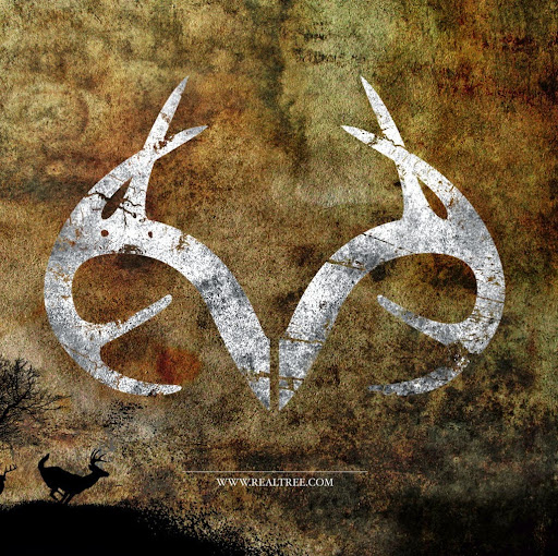 Austin Potter Photo 5