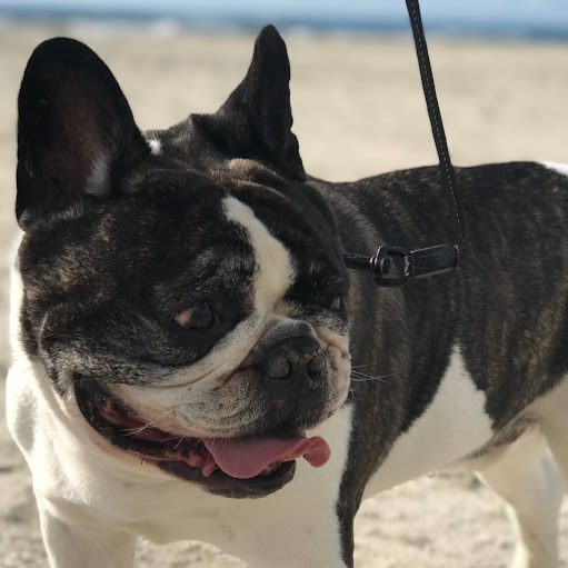 Michelle Swift Photo 10