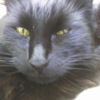 Jacob Swanson Photo 32