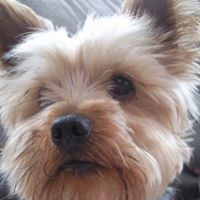 Angela Kearney Photo 17