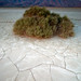 Juan Borrego Photo 3