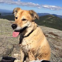 Lisa Arsenault Photo 34