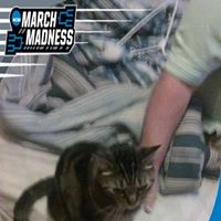 Paula Ingram Photo 8