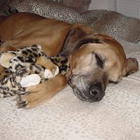 Phillip Zimmerman Photo 25