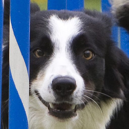 Stacy Winkler Photo 11