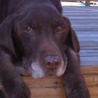 David Harter Photo 20