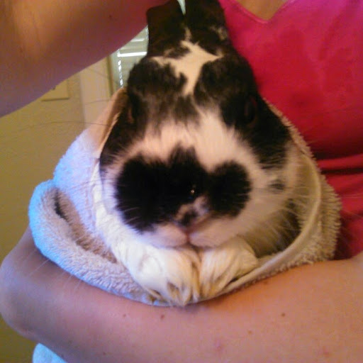 Allison Pate Photo 6