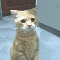 Larry Lindquist Photo 7