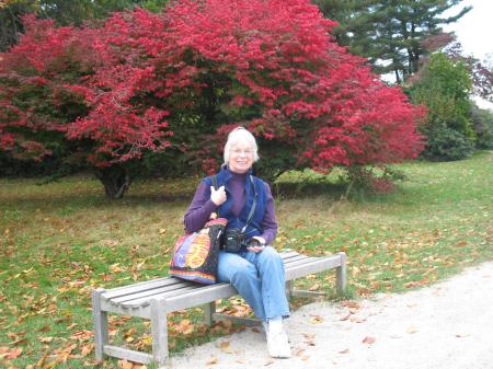 Marilyn Knutson Photo 10