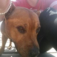 Sara Langham Photo 6