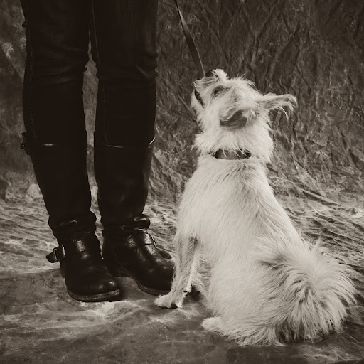 Linda Horton Photo 27