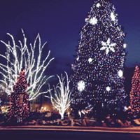 Debbie Matlock Photo 13