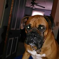 Teresa Agnew Photo 8