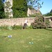 Tim Rees Photo 30