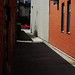 Peter Alley Photo 5