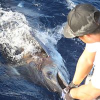 Timothy Duong Photo 9