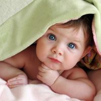 Pamela Chen Photo 42 Pamela Chen Photo 42