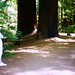 Judy Armstrong Photo 25