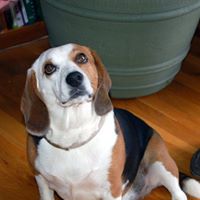 Janice Gilchrist Photo 6