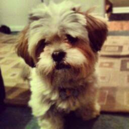 Philip Avila Photo 23