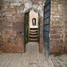 Julie Goodrich Photo 35
