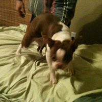 Daisy Matthews Photo 15