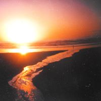 Carolyn Tidwell Photo 19