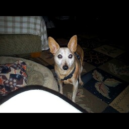 Richard Ross Photo 46