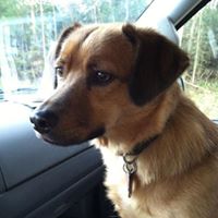 Suzanne Winter Photo 23