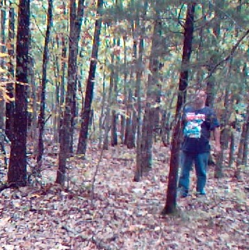 David Etheridge Photo 42 David Etheridge Photo 42