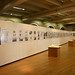 Paul Lewis Photo 17