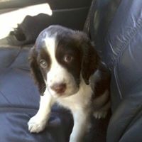 Duane Webber Photo 3