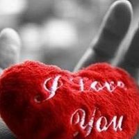 Shelley Pierce Photo 17