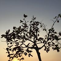 Kenneth Tang Photo 24
