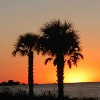 Carol Buckner Photo 22