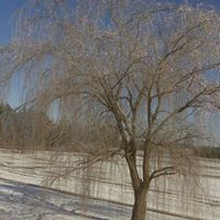 Barry Henderson Photo 25 Barry Henderson Photo 25